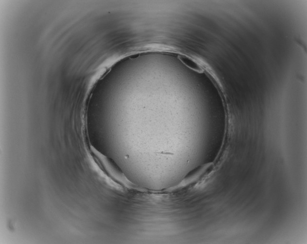 X0000099321381200805161350