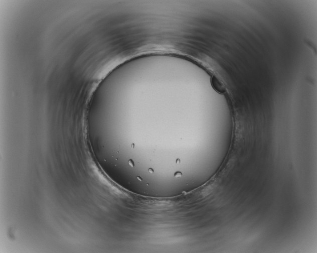 X0000099321382200805161350