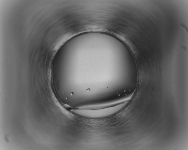 X0000099321383200805161350