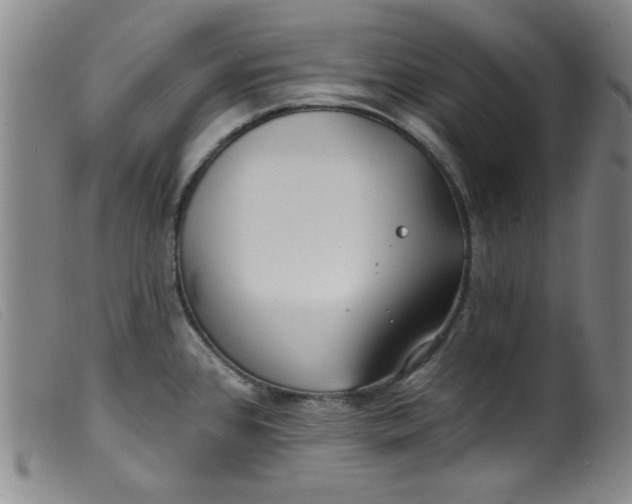 X0000099321384200805161350