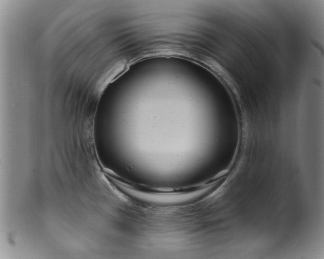 X0000099321385200805161350