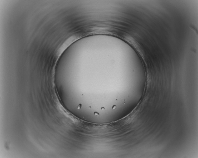 X0000099321386200805161350