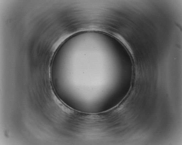 X0000099321388200805161350