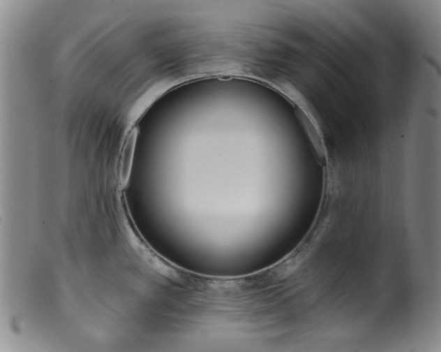 X0000099321389200805161350