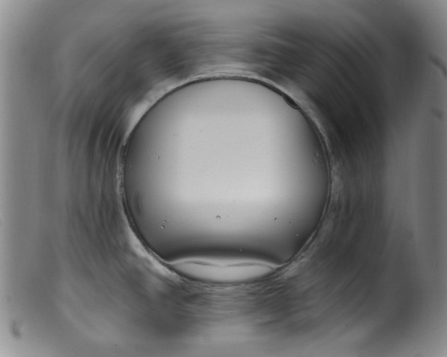 X0000099321390200805161350