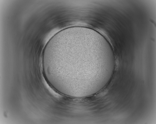 X0000099321391200805161350