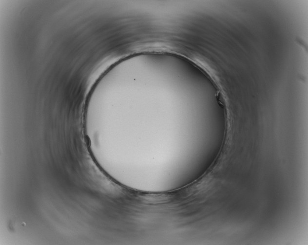 X0000099321392200805161350