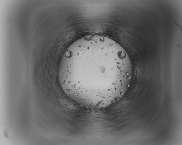 X0000099321393200805161349