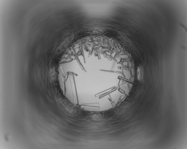 X0000099321395200805161349