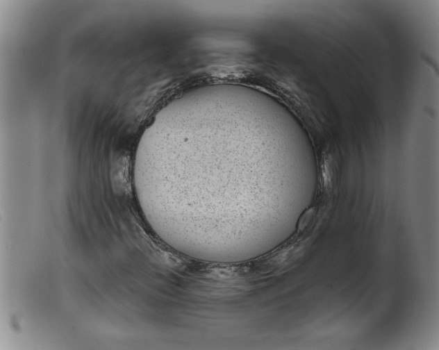 X0000099321396200805161349