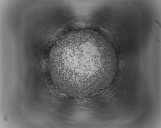 X0000099321397200805161349