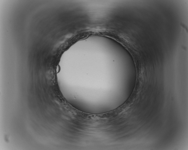 X0000099321398200805161349