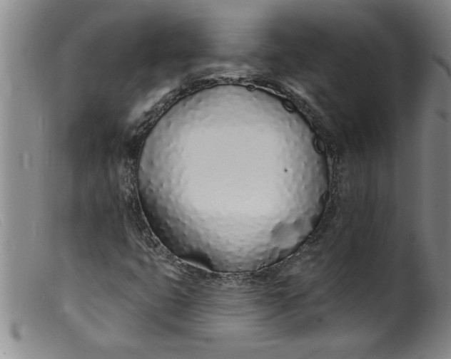 X0000099321399200805161349