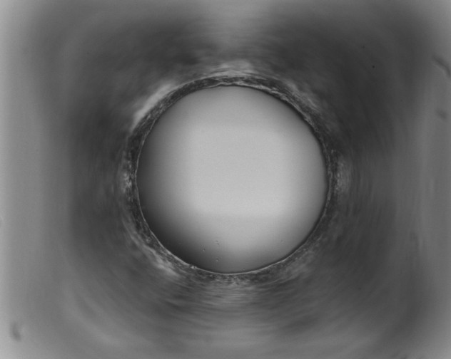 X0000099321400200805161349