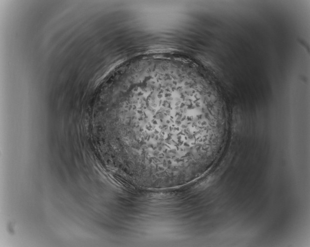 X0000099321401200805161349