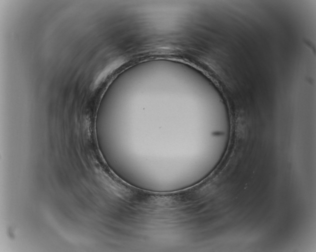 X0000099321402200805161349