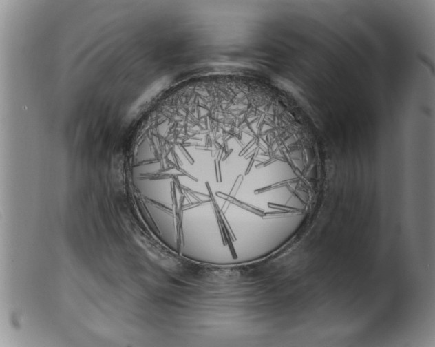 X0000099321403200805161349