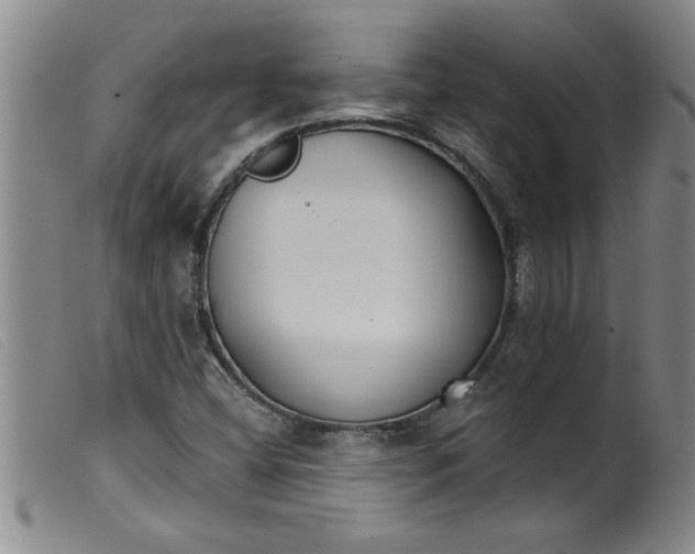 X0000099321404200805161349