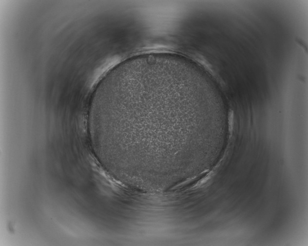 X0000099321405200805161349