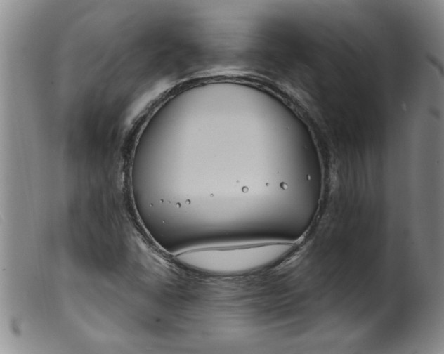 X0000099321406200805161349