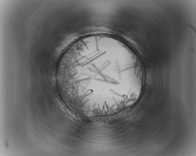 X0000099321407200805161349