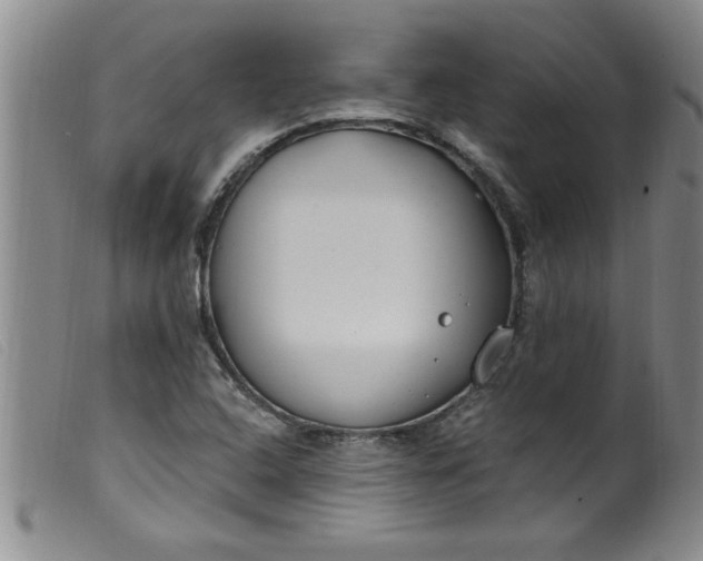 X0000099321408200805161349