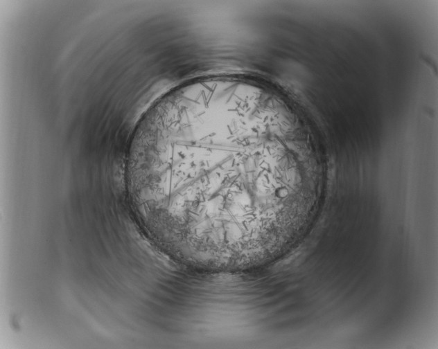 X0000099321409200805161349