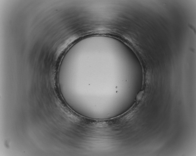 X0000099321410200805161349