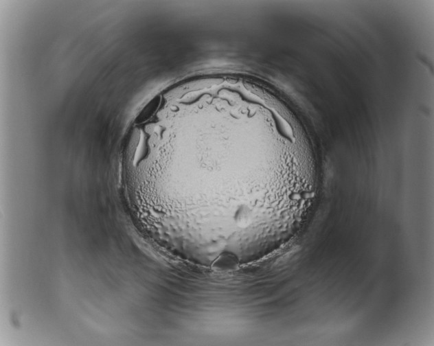 X0000099321413200805161350