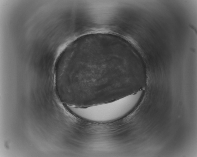 X0000099321414200805161350