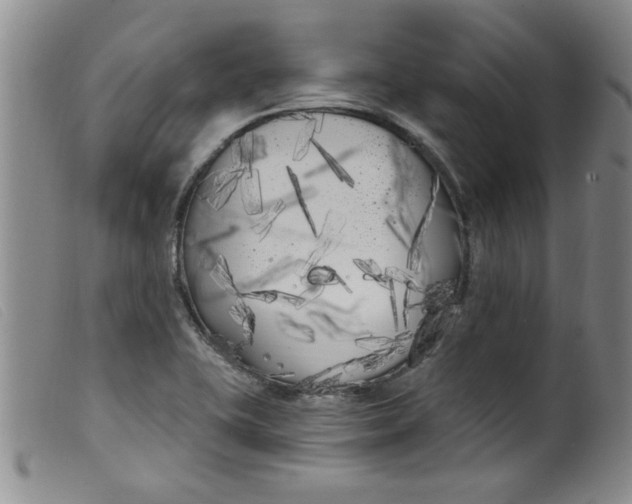 X0000099321415200805161350