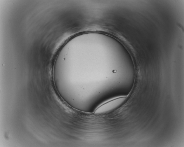 X0000099321416200805161350