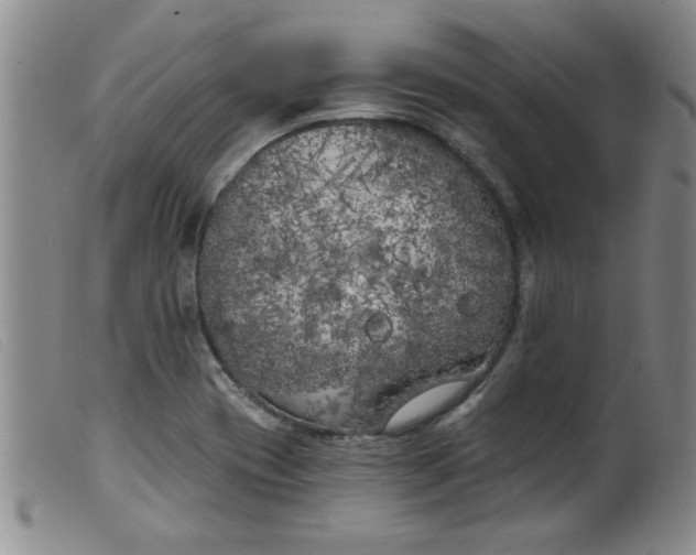 X0000099321417200805161350