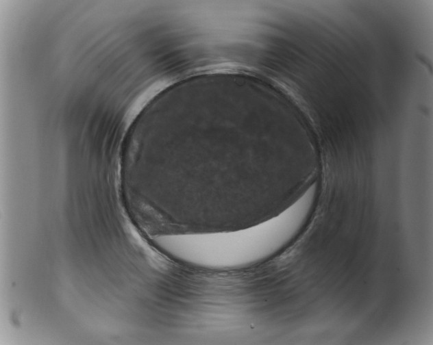 X0000099321418200805161350