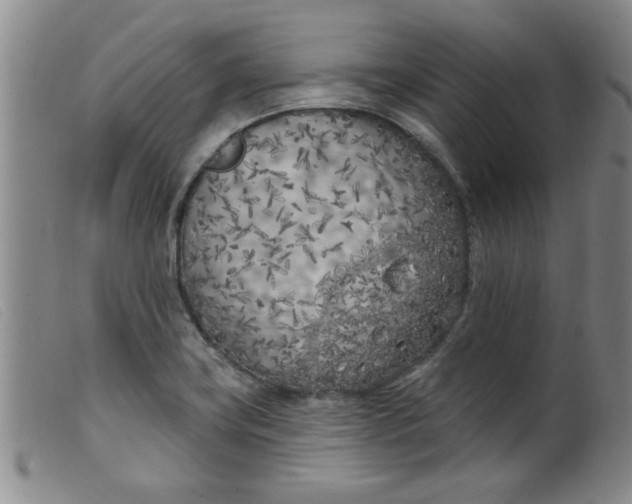 X0000099321419200805161350