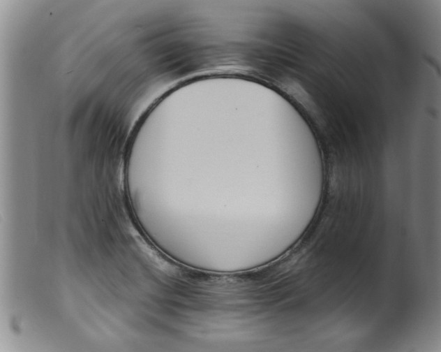 X0000099321420200805161350