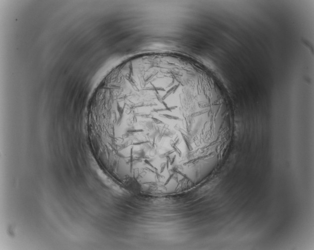 X0000099321421200805161350