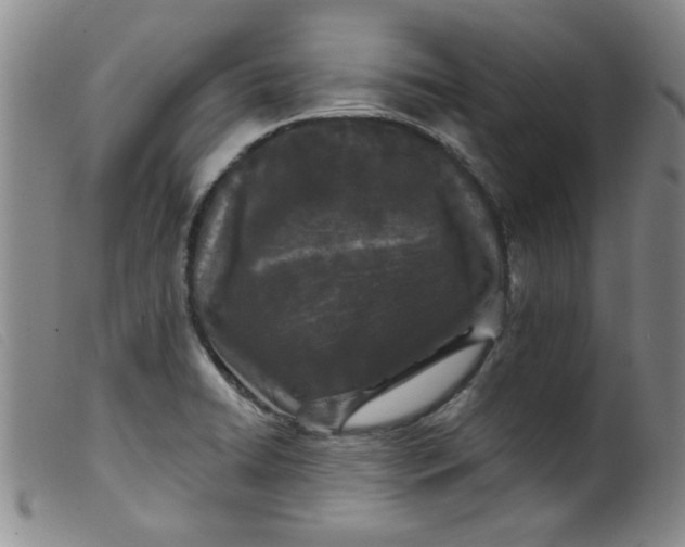 X0000099321422200805161350