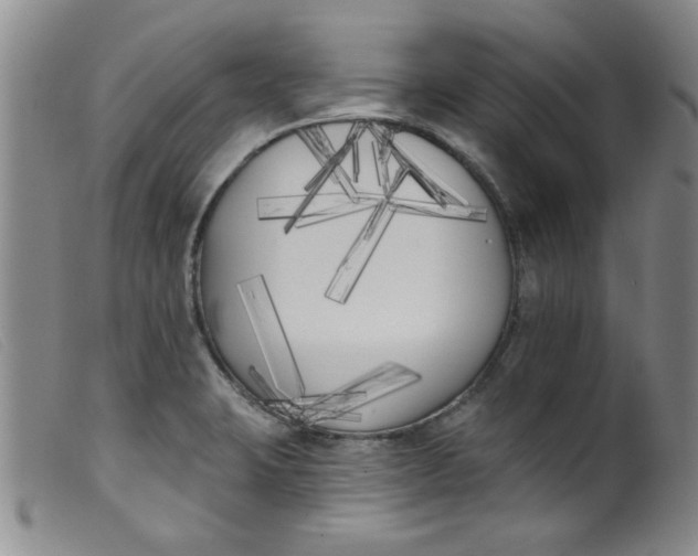 X0000099321423200805161350