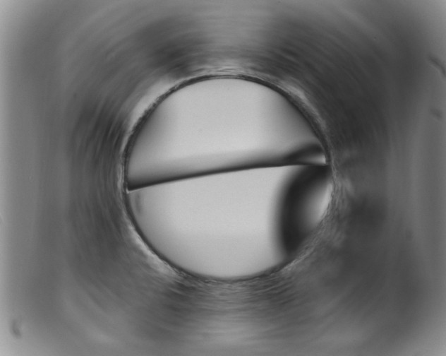 X0000099321424200805161350