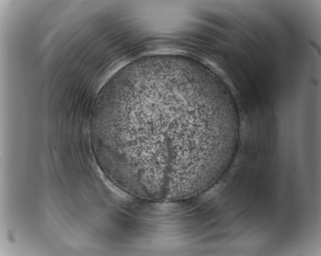 X0000099321425200805161350