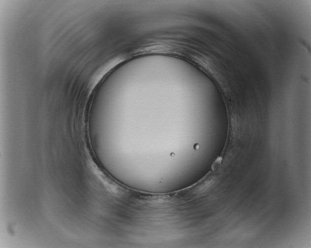 X0000099321426200805161350