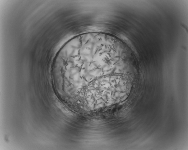 X0000099321427200805161350