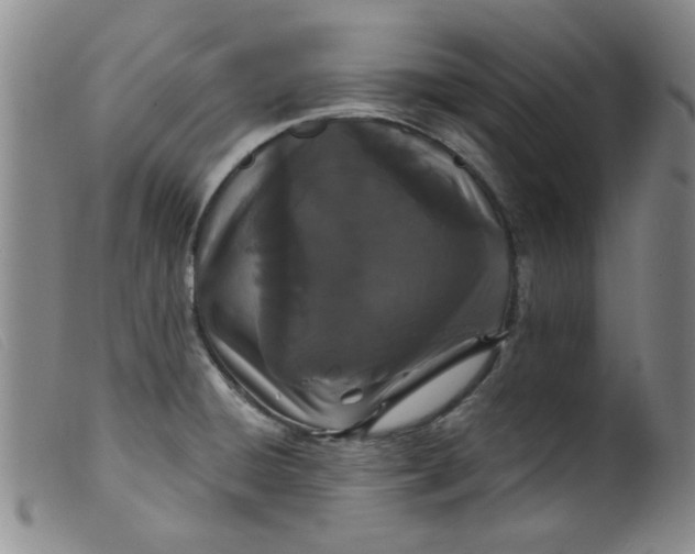 X0000099321428200805161350