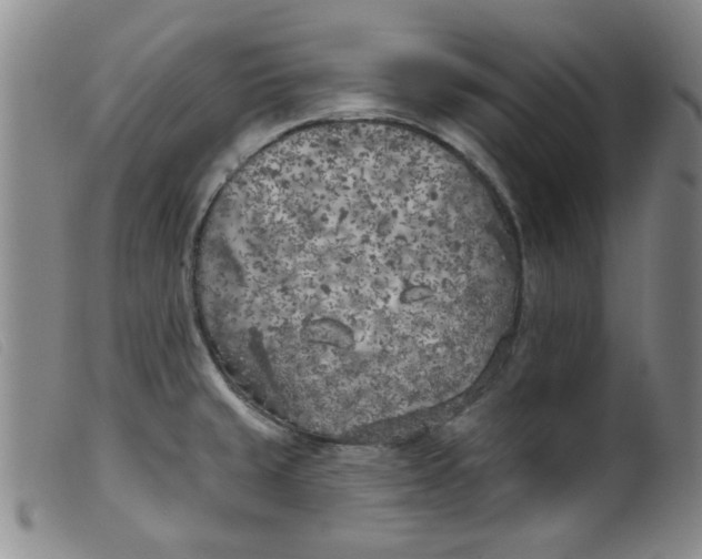 X0000099321429200805161350