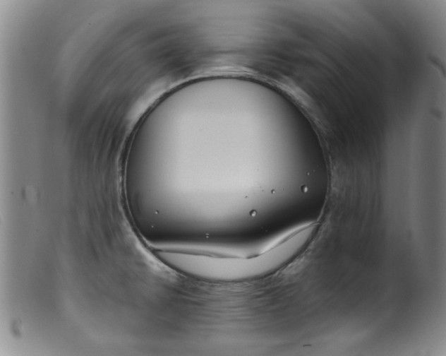 X0000099321430200805161350