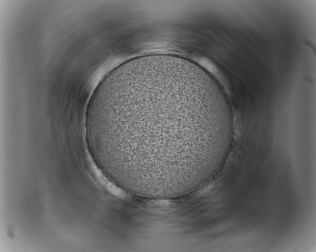 X0000099321431200805161350