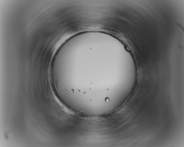 X0000099321432200805161350