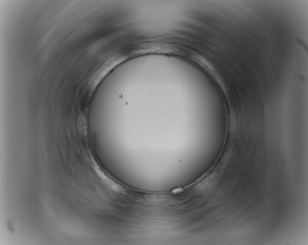 X0000099321433200805161350