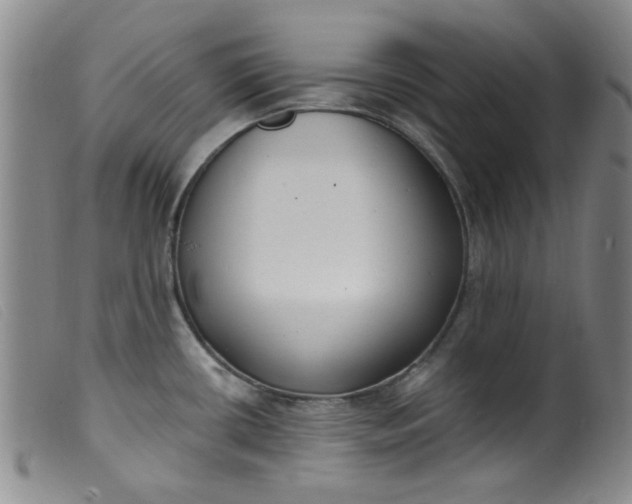 X0000099321434200805161350